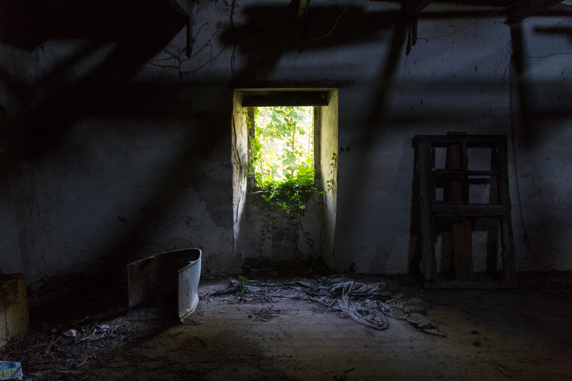 L' Oeil Noir Photographie